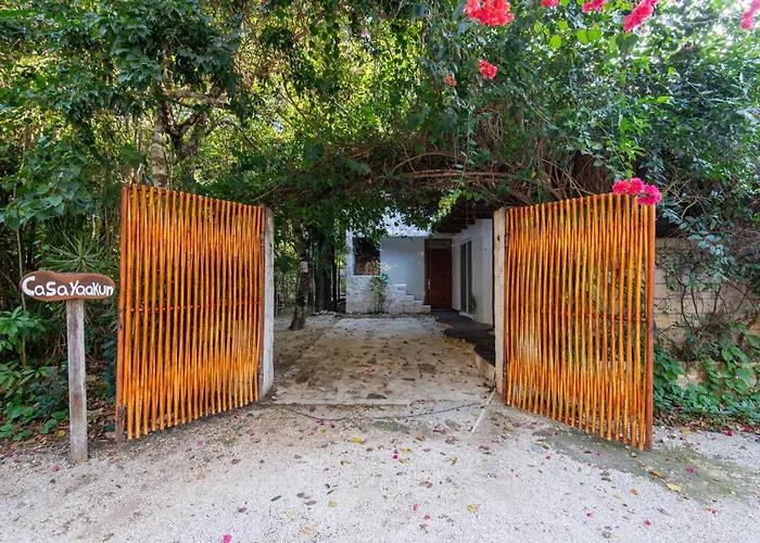 Private Jungle With Full Kitchen & Pool Access