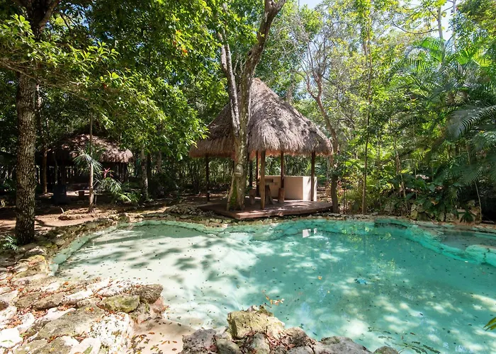 Private Jungle With Full Kitchen & Pool Access Apartamento *