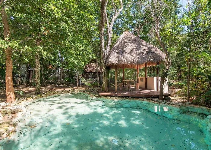 Apartament Private Jungle With Full Kitchen & Pool Access *