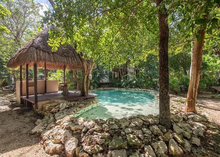 Private Jungle With Full Kitchen & Pool Access *