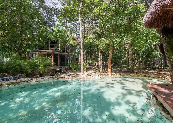 Private Jungle With Full Kitchen & Pool Access Apartament *