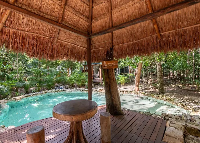 Private Jungle With Full Kitchen & Pool Access Tulum