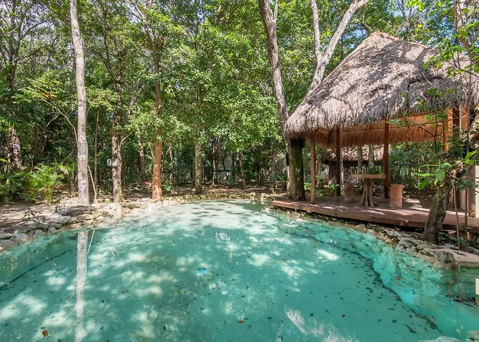 Private Jungle With Full Kitchen & Pool Access Apartament *